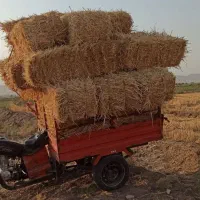 متور سه چرخ