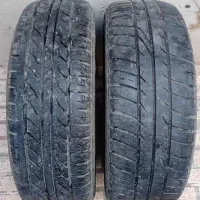 2حلقه‌لاستیک‌‌گلدستون‌وبارزپراید