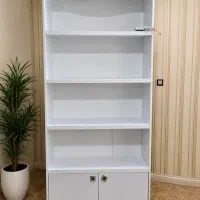 کتابخانه و شلف ایستاده
