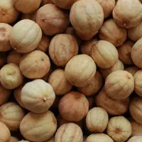 فروش لیمو خشک .قیمت کف بازار