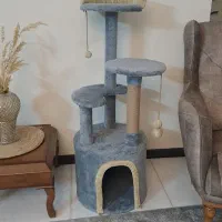 اسکرچر خانه گربه (تحویل فوری)