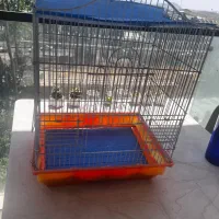 قفس پرنده