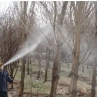سمپاشی درخت