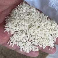 برنج هاشمی