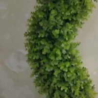 درختچه
