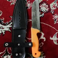 سایر