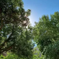 800-متر-باغ-همراه-با-خانه-و-اب-ملکی-لوکیشن-دشت