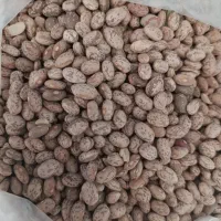 لوبیا چتی
