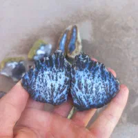 شجر مشکی و عقیق آبی