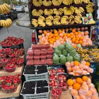 نیازمند یک شریک برای کار با وانت میوه فروشی