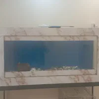 اکواریم بزرگ