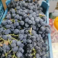 انگور سیاه