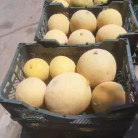 کارگرساده میوه فروشی شبکارازساعت ۱۰ونیم شب تا۶ونیم