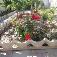 فروش ویلای 251متری در روستای قاسم آباد اقا