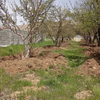 زمین-وباغ
