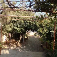 فروش-املاک