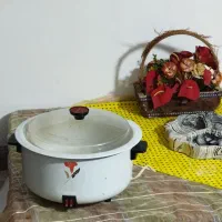پلوپز قدیمی نپتون