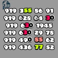 919 معمولی سری 750