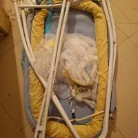 گهواره کودک