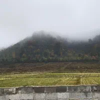 ۶۲۰ متر زمین سند تک برگ مسکونی اسالم