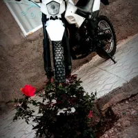 تریل Rt200