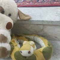 ۲ تا عروسک پشمالو و یک ست لوازم پزشکی