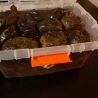 ترشی بادمجان شکم پر.
