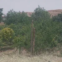 دویست مترزمین مسکونی طرق رودنطنز