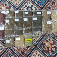 فروش انواع غذا ماهی و ماهی فایتر