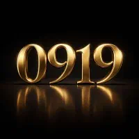 0919 انوع از کد 0 تا 9 کف قیمت