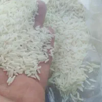 برنج هاشمی درجه ۱امسال نیمدلنه
