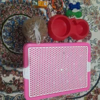 سینی ادار و غذا خشک