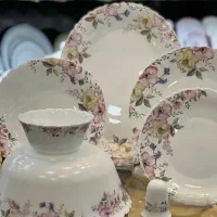 سرویس ارکوپال نو