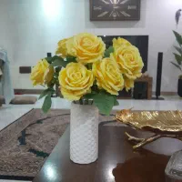 لوازم منزل تزئینی