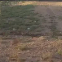 زمین باغ عمران