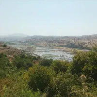 فروش کاه