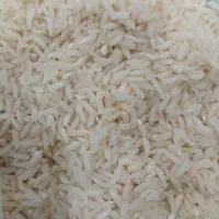 فروش برنج طارم