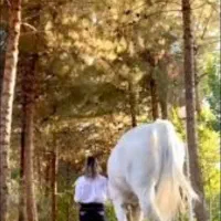 استخدام کار اموز