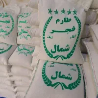 برنج فجر اقتصادی با کالابرگ