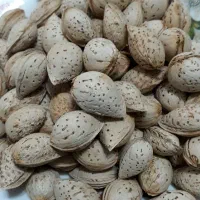بادام پوست کاغذی شیرین صادراتی