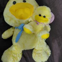 اردک بزرگ و بچش