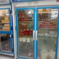 کره گوسفندی ۱۶۵۰