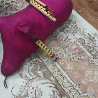 نی انبان نو