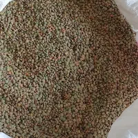 عدس‌|خوردنی و آشامیدنی|قوچان, |دیوار