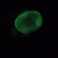 سنگ قدیمی|کلکسیون اشیاء عتیقه|نهاوند, |دیوار