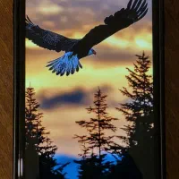 Samsung galaxy j4+|موبایل|تهران, کرمان|دیوار