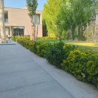 خدمات باغبانی.لوله کشی  .سم پاشی .هرس زنی.