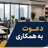 جذب نیروی کار خانم در دفتر اداری