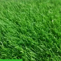 فروش چمن مصنوعی-دیوارسبز-فنس چمنی