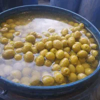 زیتون و روغن زیتون